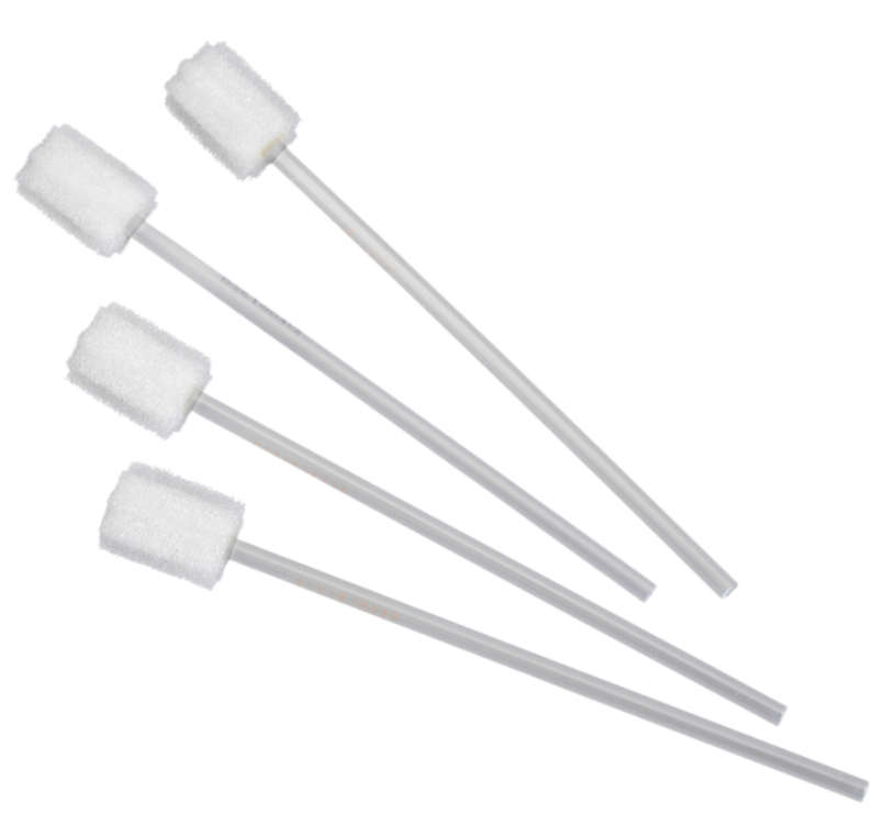 BSB WHITE FOAM STAR 8 SQUEEGEES-PLAST C100