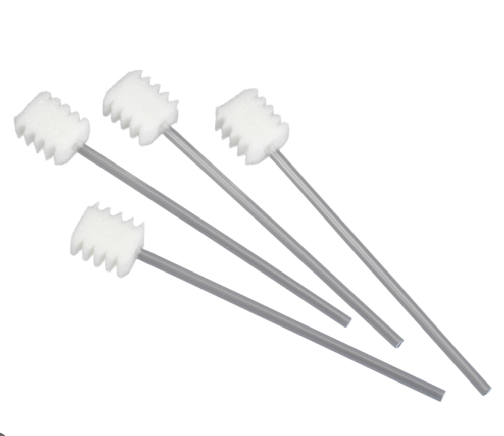 [C106P] BSB MOUSSE A DENTS-BLANCHE-PLASTIQUE 15 CM RIGIDE