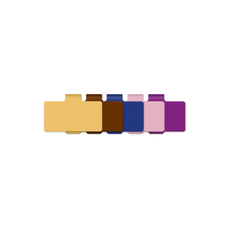 Plaquettes plastiques à clips violette 55X30MM