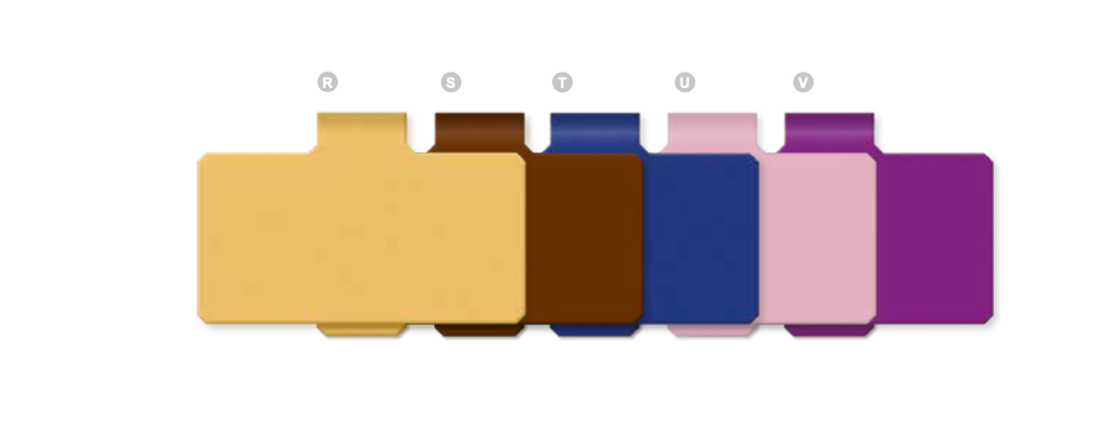 [01965] Plaquettes plastiques à clips bleu foncé